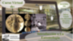 Banner_Introduccion_Entomologia.png