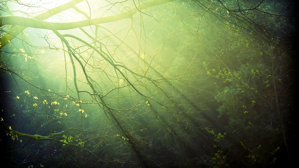 Fondos-de-pantalla-de-naturaleza-al.jpg