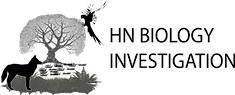 HNBI_Logo_trans.png